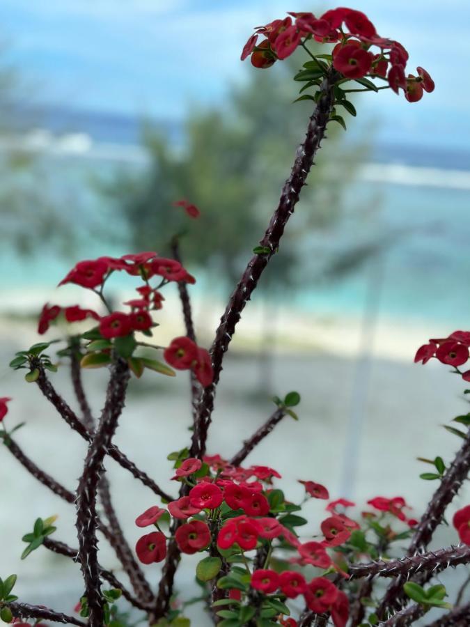 Lazzlla Beach Front Apartments Hulhumalé Exterior foto
